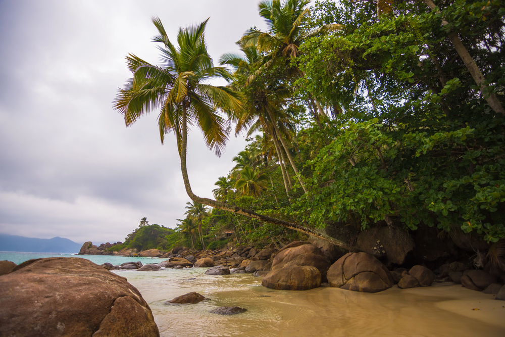 transfers מאילה גראנדה